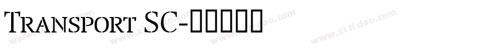 Transport SC字体转换